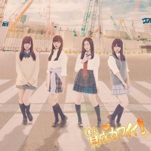 SKE48/賛成カワイイ！ (CD+DVD) (Type-D) (初回盤)(オリジナル生写真CD版付)