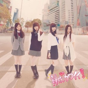 SKE48/賛成カワイイ！ (CD+DVD) (Type-A) (初回盤)(オリジナル生写真AB版付)