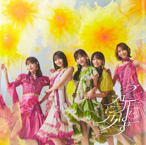 <strong style="font-size:12px;color:red;"><font color="red">予約受付中!</font></strong> 乃木坂46/42thシングル「是非に及ばず」初回仕様限定盤TYPE-D（CD+BD）【ラムタラ特典付き】