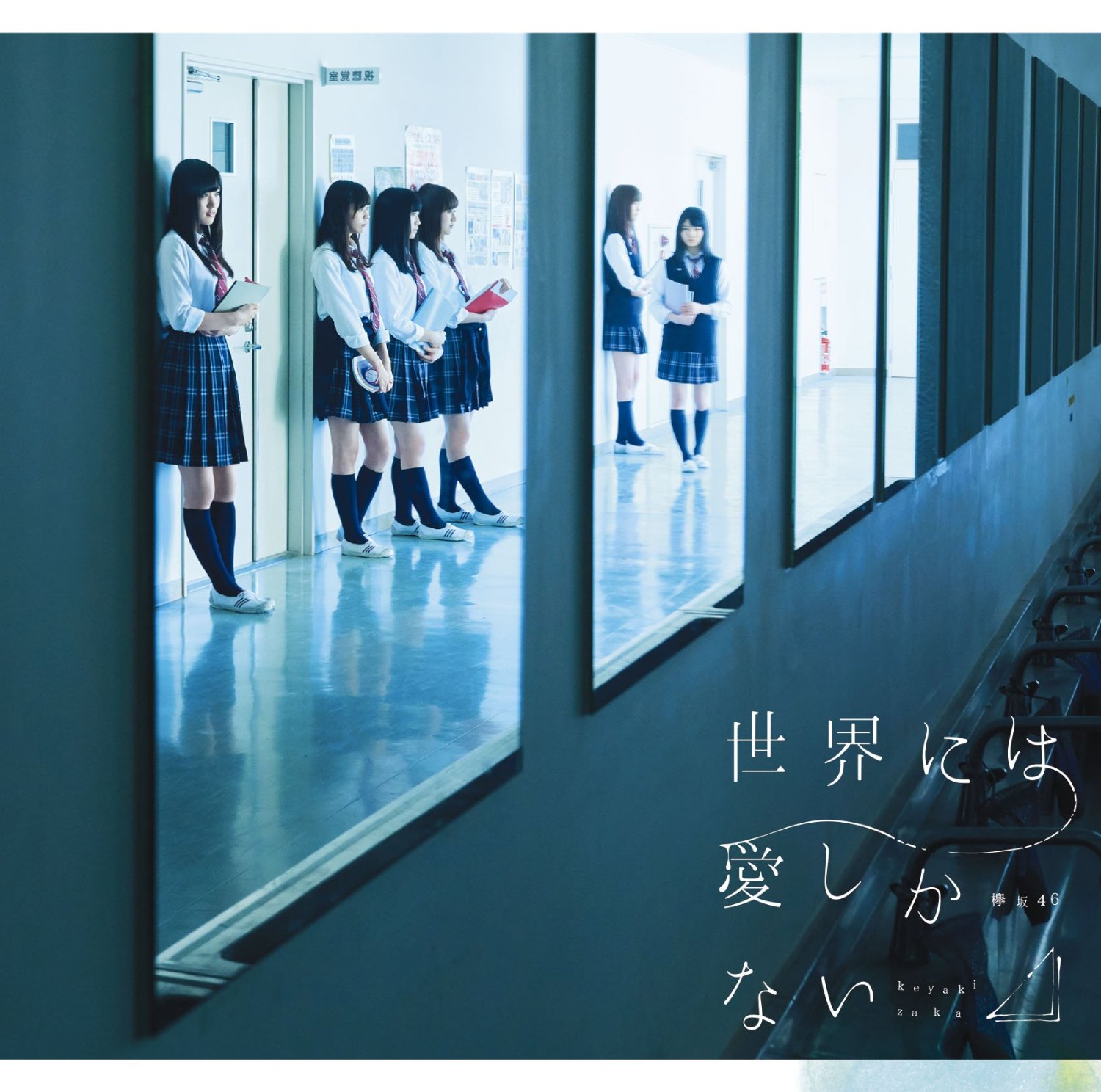 欅坂46/世界には愛しかない(TYPE-C)(DVD付) Single, CD+DVD