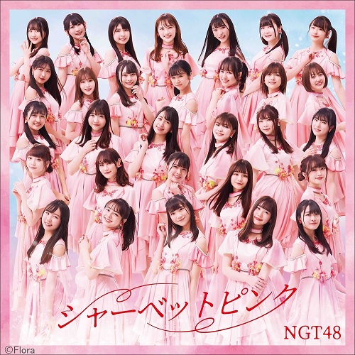 NGT48/5thシングル「シャーベットピンク」 初回プレス通常盤 TYPE-A(CD+DVD）【ラムタラ特典付き】