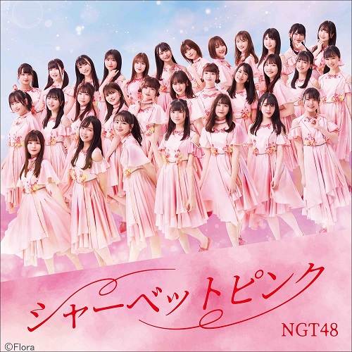 NGT48/5thシングル「シャーベットピンク」 初回プレス通常盤 TYPE-B(CD+DVD）【ラムタラ特典付き】