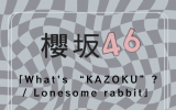 櫻坂46/15thシングル『What's “KAZOKU”? / Lonesome rabbit』夜桜盤(CD+BD) ラムタラ特典付き